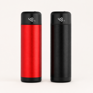 Powerbank 5000 mAh