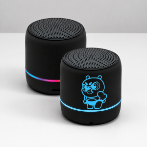 Bluetooth səsgücləndirici