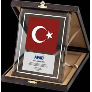Altın Yaldız Kristal Plaket