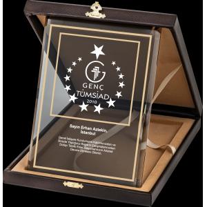 Altın Yaldız Kristal Plaket