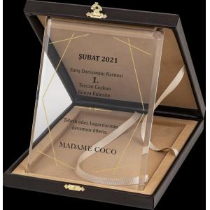 Altın Yaldız Kristal Plaket